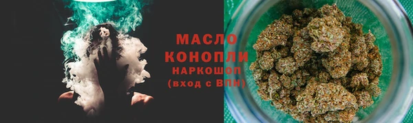 индика Нягань