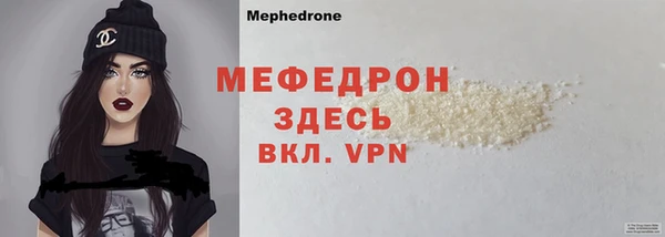 индика Нягань