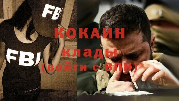индика Нягань