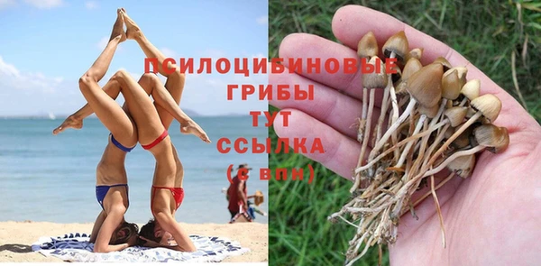 индика Нягань