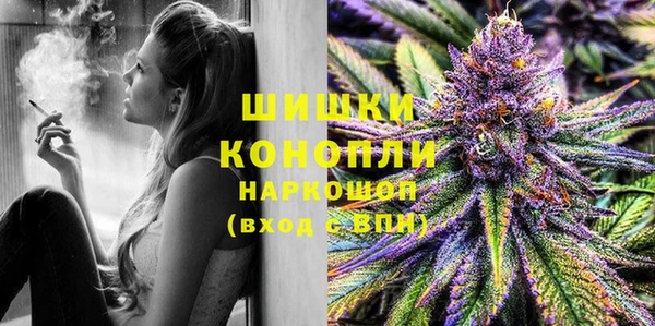 индика Нягань