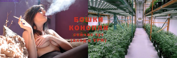 стафф Няндома