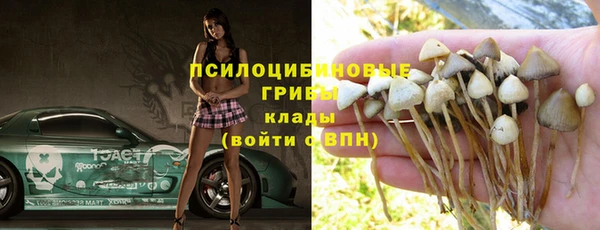 индика Нягань