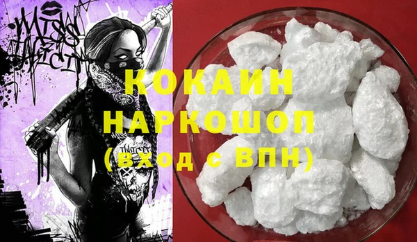 индика Нягань