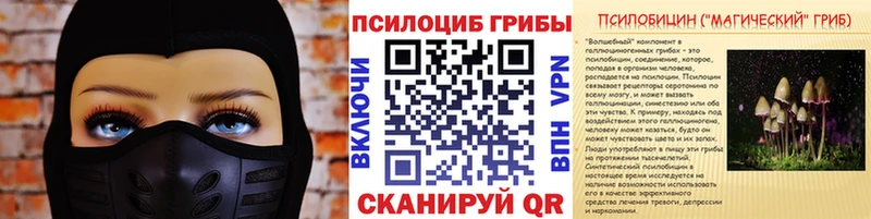 цены наркотик  Новая Усмань  Галлюциногенные грибы мицелий 
