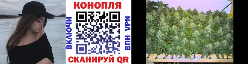 Марихуана гибрид  закладка  Новая Усмань 